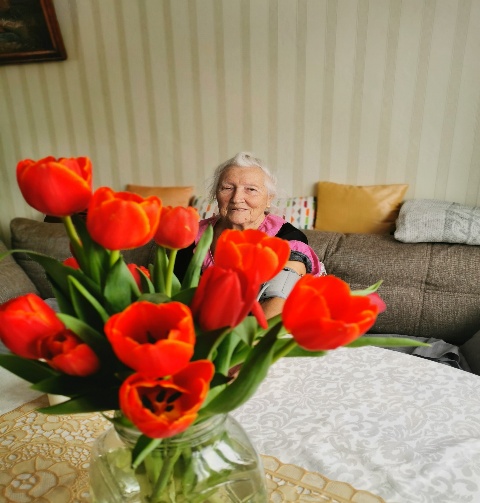 Support for the Elderly